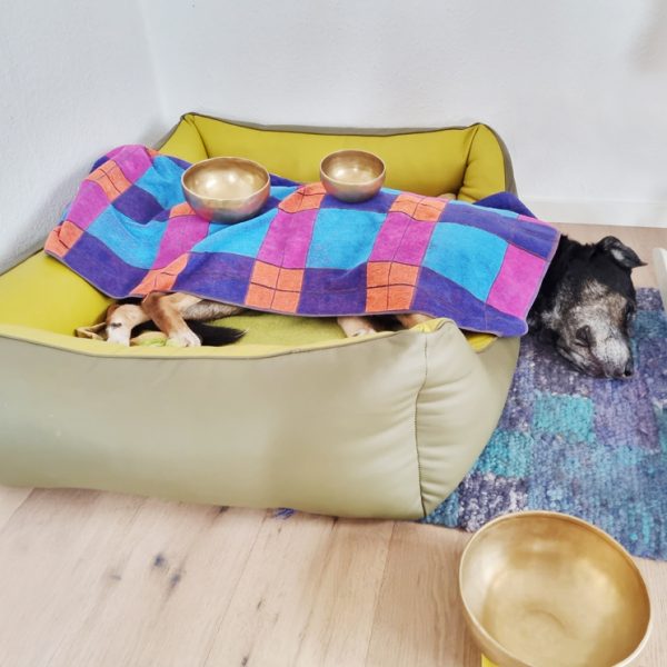 Caspar genießt die Klangschalenmassage