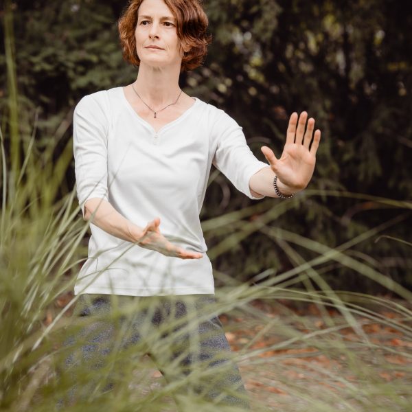 Affen abwehren - Taiji QiGong 18 Bewegungen