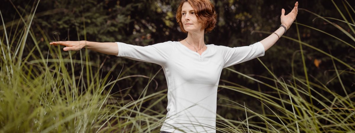 Der Wind bewegt den Weidenbaum